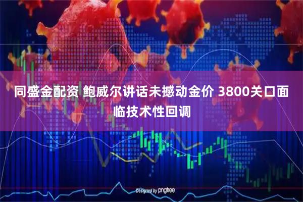 同盛金配资 鲍威尔讲话未撼动金价 3800关口面临技术性回调