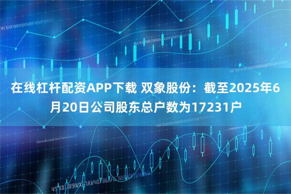 在线杠杆配资APP下载 双象股份：截至2025年6月20日公司股东总户数为17231户