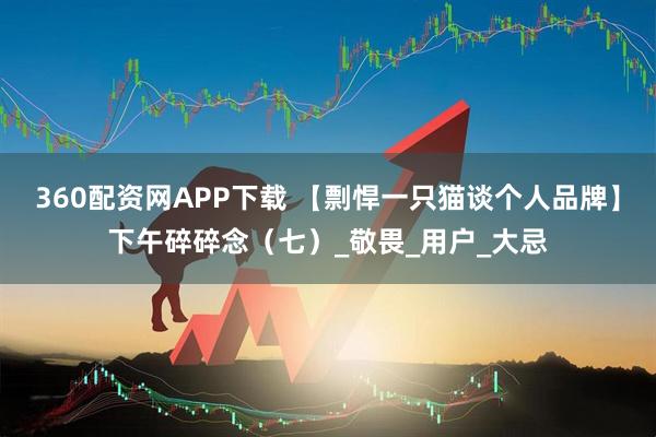 360配资网APP下载 【剽悍一只猫谈个人品牌】下午碎碎念（七）_敬畏_用户_大忌