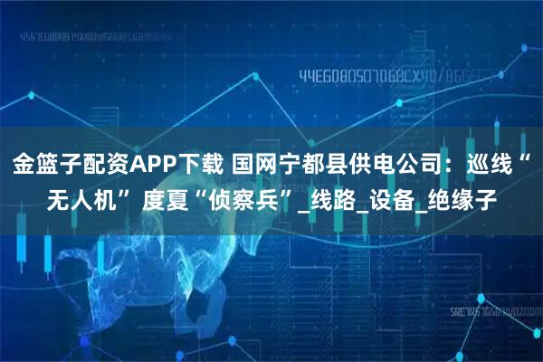 金篮子配资APP下载 国网宁都县供电公司：巡线“无人机” 度夏“侦察兵”_线路_设备_绝缘子